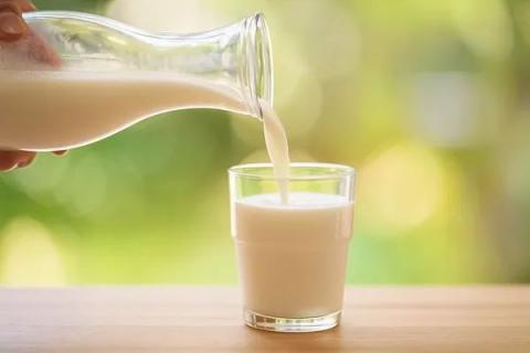 Наливание свежего молока из стеклянного кувшина в стакан на фоне зелени — натуральный молочный продукт высокого качества