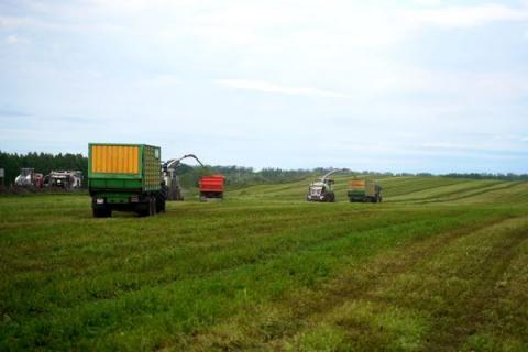 Механизированная заготовка сенажа в Башкортостане летом 2025 года
