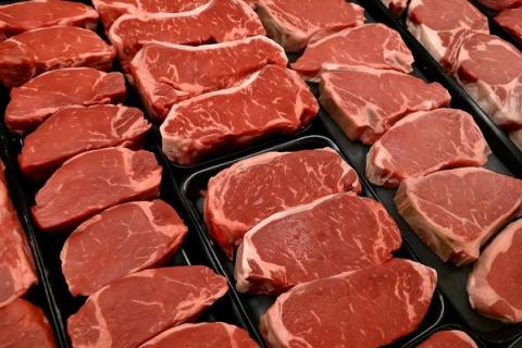 Австралийское красное мясо премиального качества на прилавке — стейки из говядины для экспорта в Юго-Восточную Азию