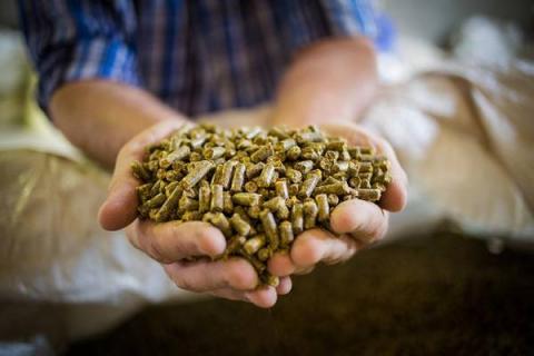 Комбикорм в руках агрария — производство кормов в Татарстане