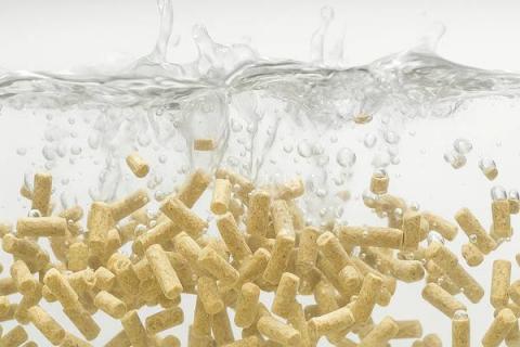 Плавающие корма для форели в воде — специализированные корма для аквакультуры