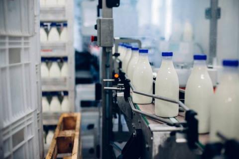 Производственная линия розлива молока на молочном заводе в России
