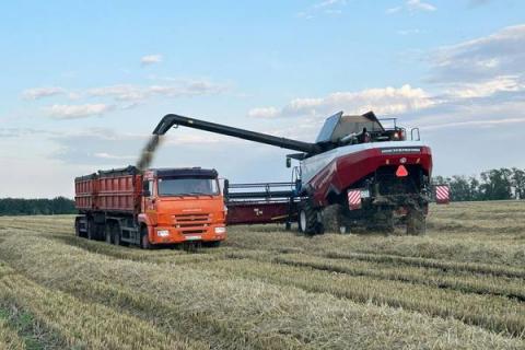 Уборка зерновых в Башкирии: зерноуборочный комбайн выгружает урожай в кузов грузовика на поле