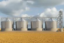 Современный элеваторный комплекс на фоне поля в Смоленской области — инфраструктура хранения семян подсолнечника