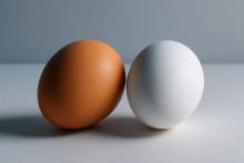 Коричневое и белое куриное яйцо на белой поверхности — символ колебаний рынка яйца в России