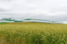 Современные сельскохозяйственные поля и агропромышленный комплекс Татарстана