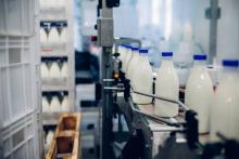 Производственная линия розлива молока на молочном заводе в России